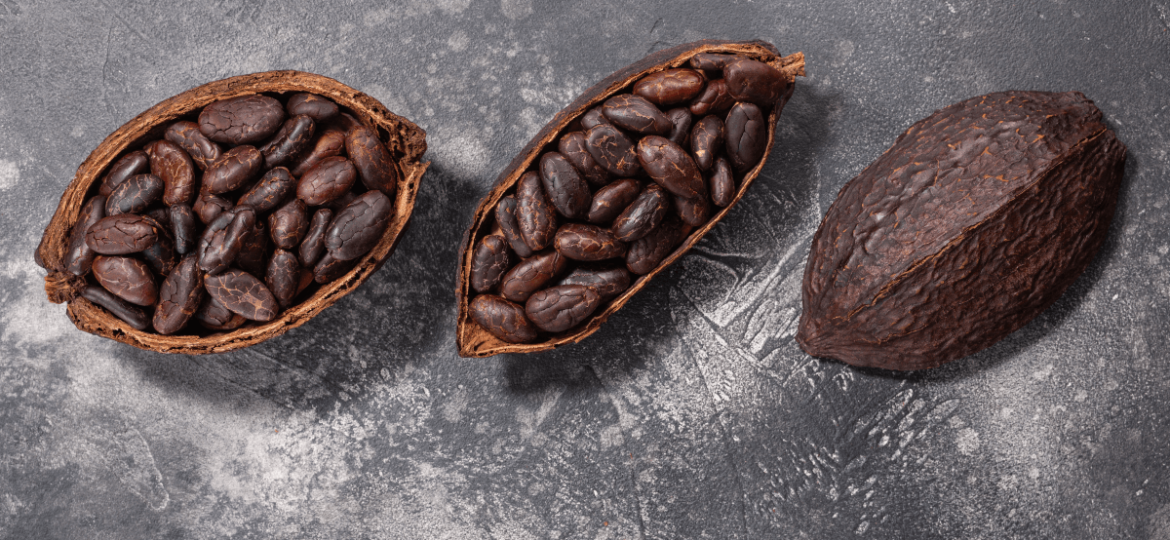 Cacao Fruit Health Benefits
