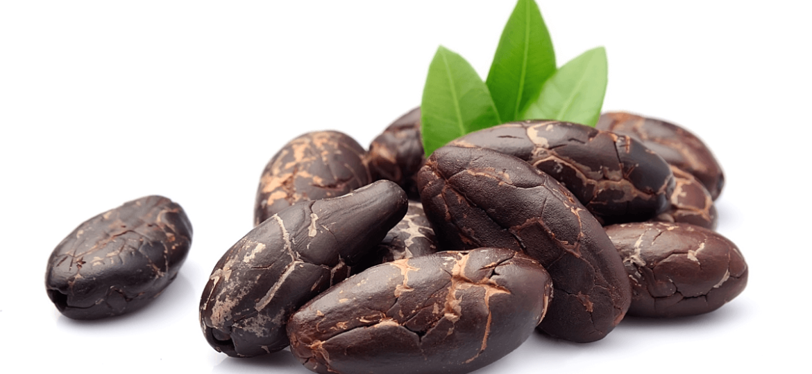 cacao fruit facts