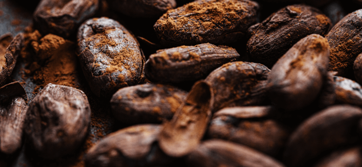 Cacao Extract Benefits