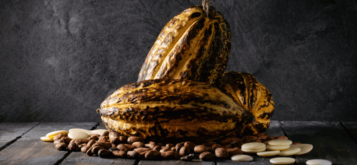 cacao fruit health benefits